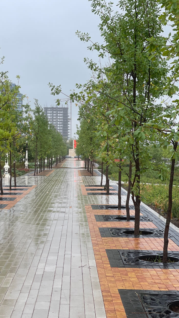 Приствольная решетка для дерева ZKING CRUST 1.2х1.2м Черная в Норильске фото