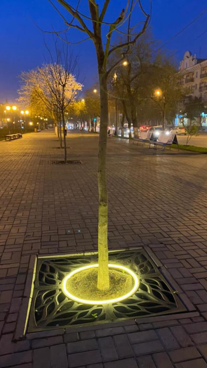 Приствольная решетка для дерева ZKING CRUST 1.2х1.2м Черная в Норильске фото